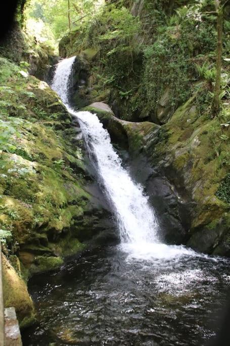 Garn Lodge Ньютаун Екстер'єр фото